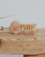 Wooden Cleaning Brush + Replacement Heads